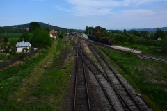 DSC_8767