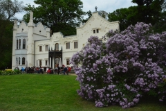 Mały Pałac w Babelsbergu