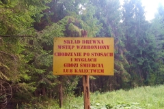 co to są mygły ?