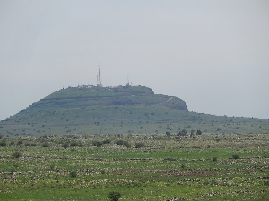 DSCN8740