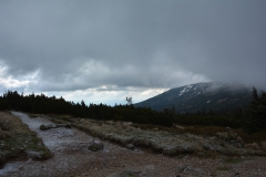 Karkonosze