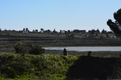 ruiny miasta Quneitra w Syrii