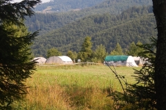 DSCN0300