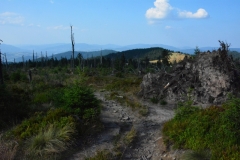 Główny Szlak Beskidzki