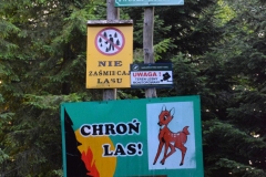 Główny Szlak Beskidzki