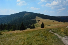 Główny Szlak Beskidzki