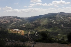 Panorama Artur Rubinstein