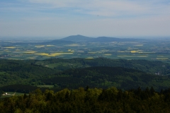 Wielka Sowa
