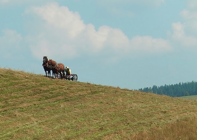 przejście Głównego Szlaku Beskidzkiego