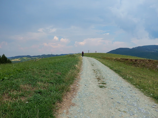 szlaki w Beskidzie Sądeckim
