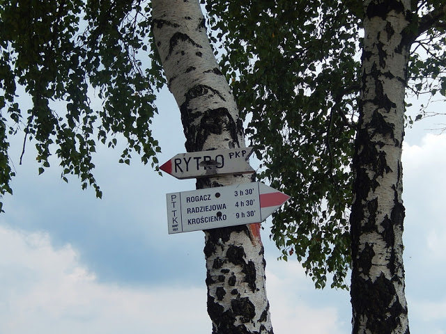 szlak czerwony w Beskidzie Sądeckim