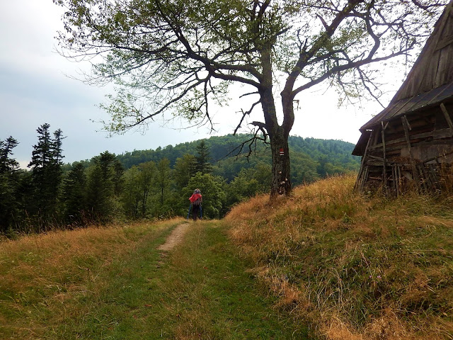 pozostałości po Niemcowej