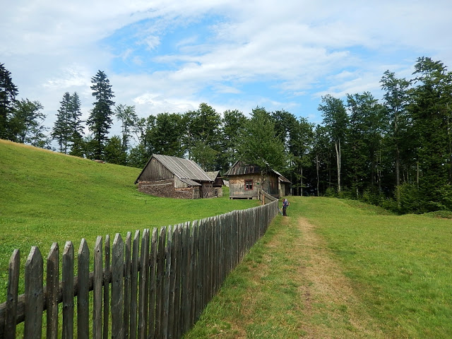 na Głównym Szlaku Beskidzkim