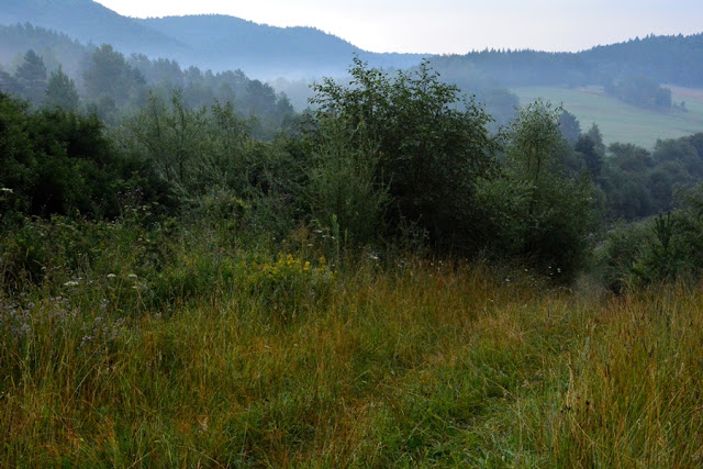 Główny Szlak Beskidzki w Beskidzie Niskim