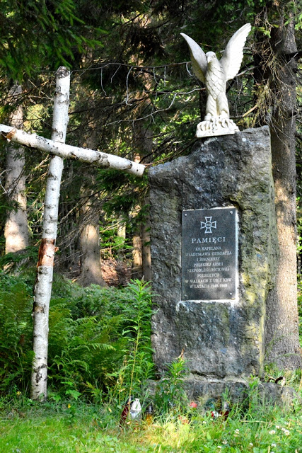 wędrówka Głównym Szlakiem Beskidzkim