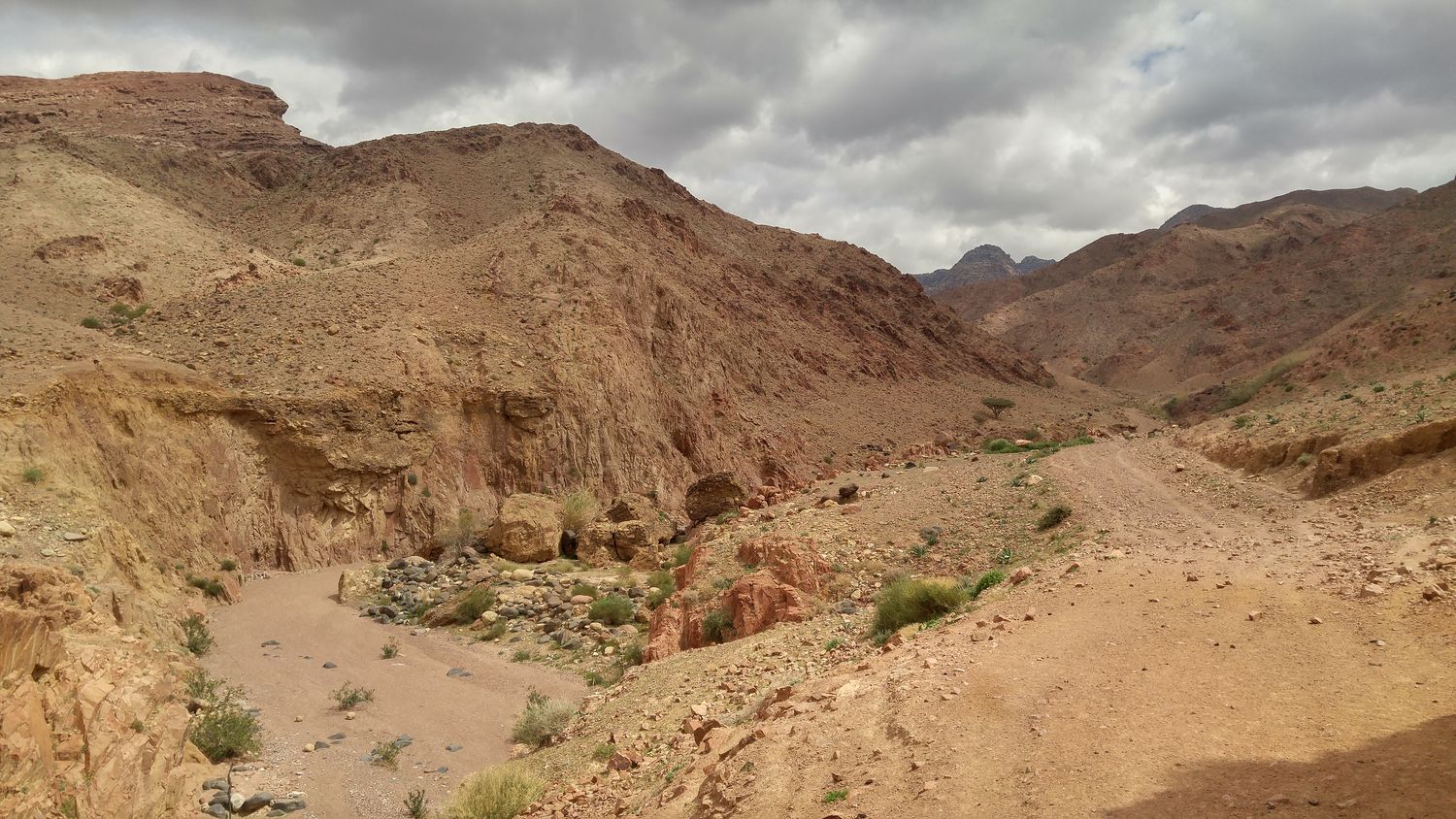 rezerwat Dana Jordania