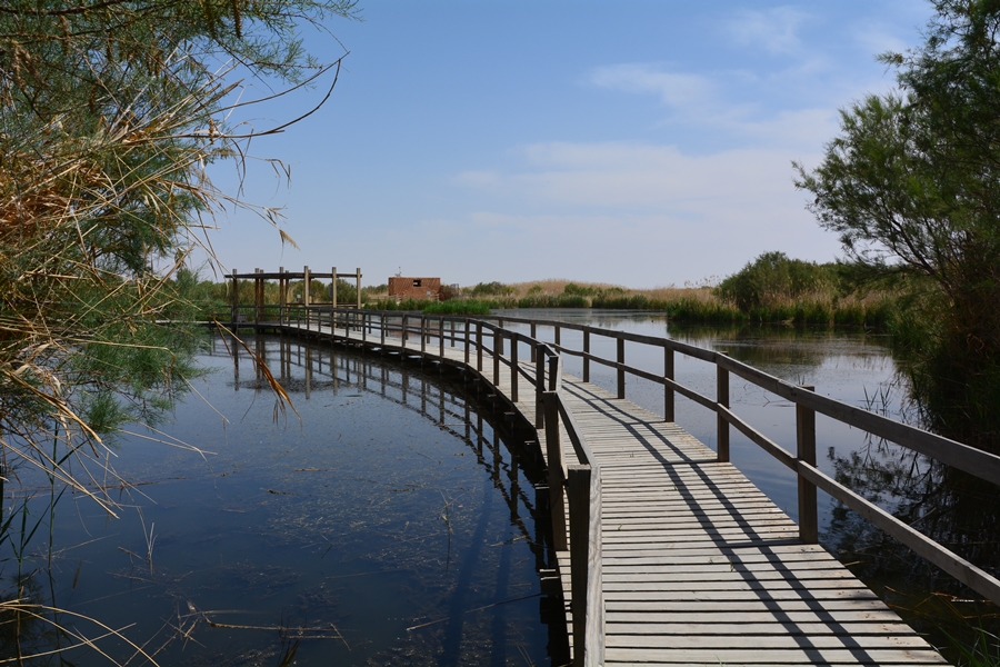 rezerwat Azrak na pustyni, Jordania