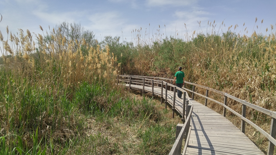 rezerwat przyrody RSCN Jordania