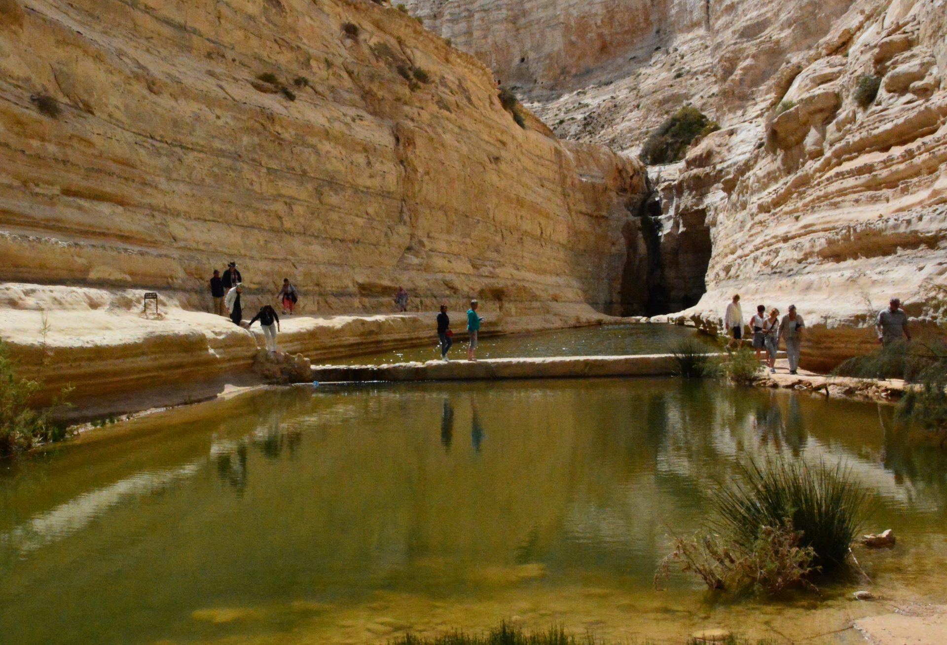 Ein Akev, źródła, pustynia Negew, Izrael trekking