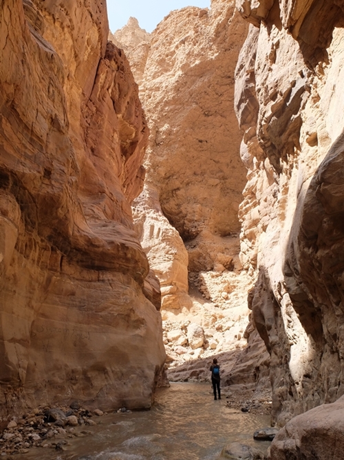 kanionig w Wadi Zarqa, Jordania
