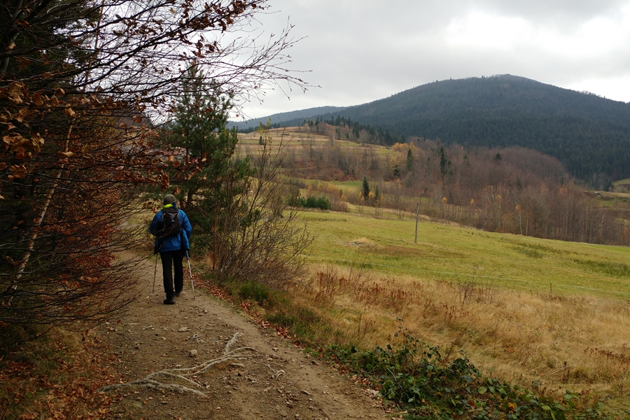Beskid Wyspowy, Mogielica