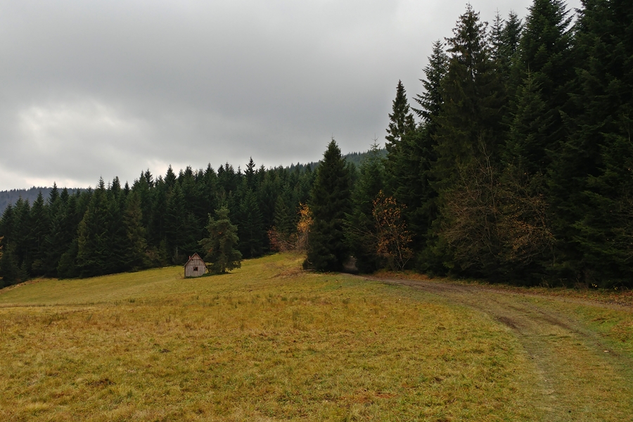 polany pod Mogielicą