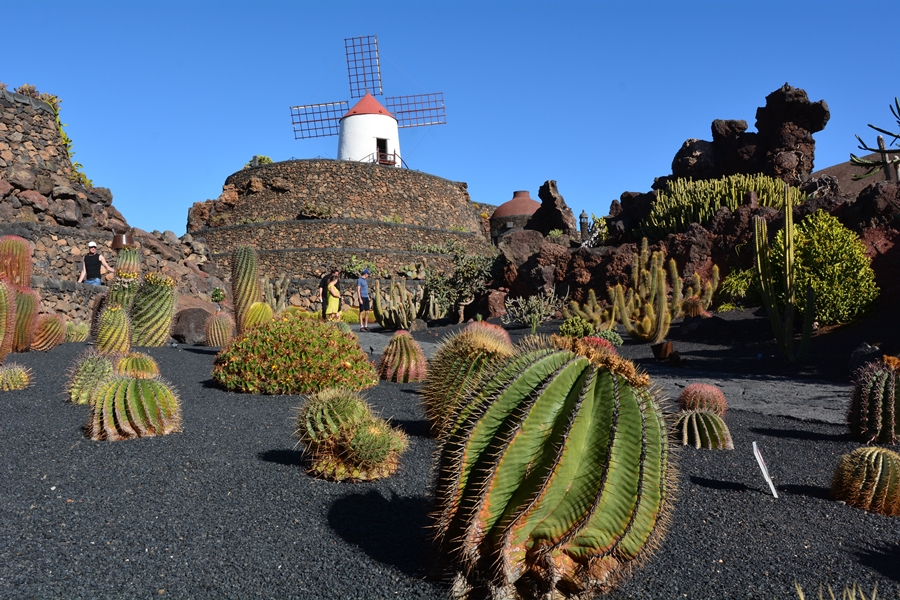 Jardin de Cactus, Lanzarote, Cesar Manrique