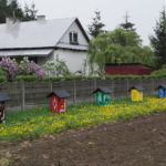 Zalipie, malowana wieś