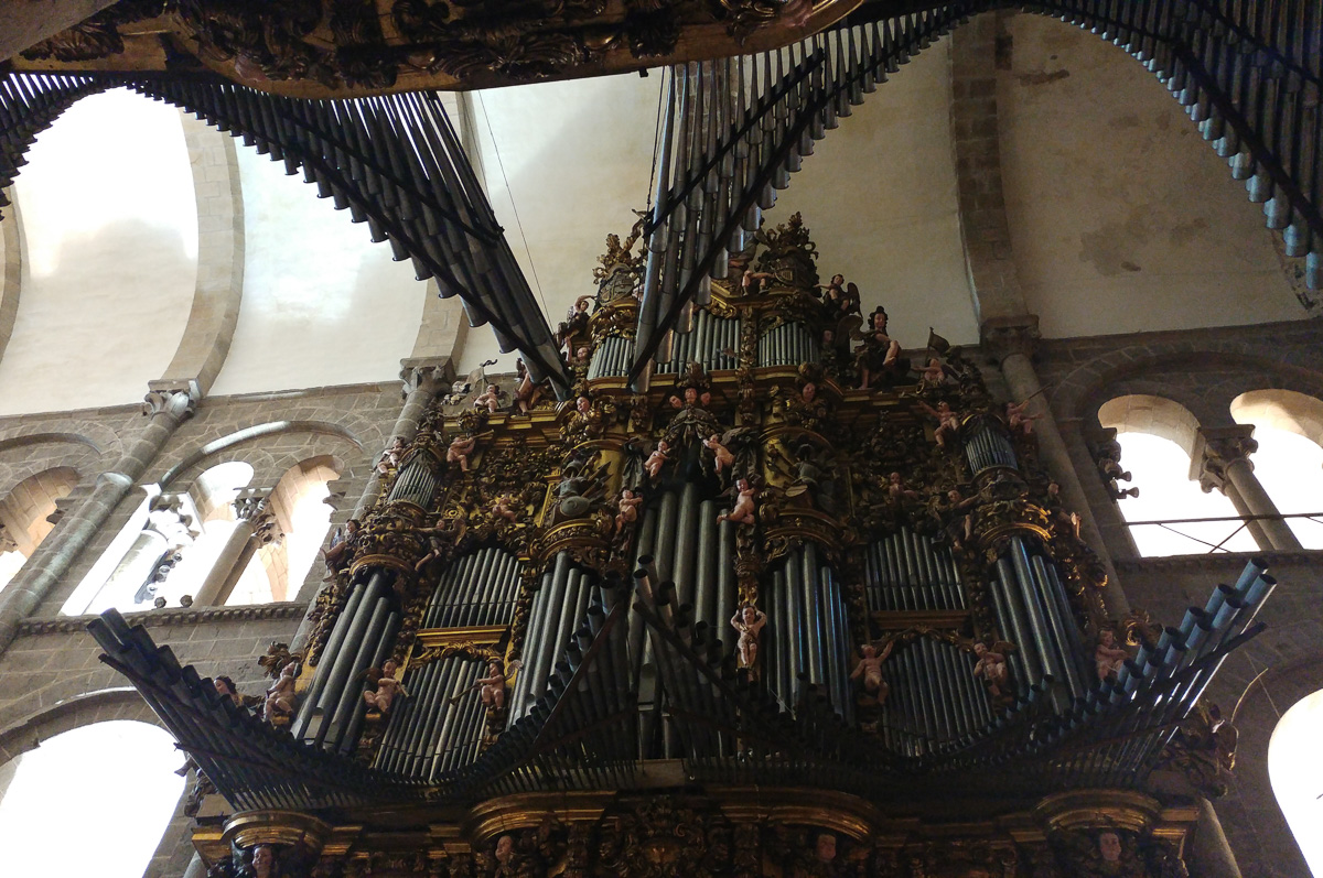 Katedra Santiago, organy