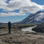 Szlak Kjalvegur - 艣ledz膮c islandzkie owce i konie na piechot臋